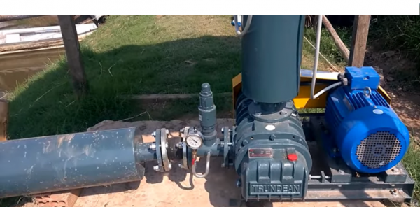 Máy thổi khí tạo oxy 